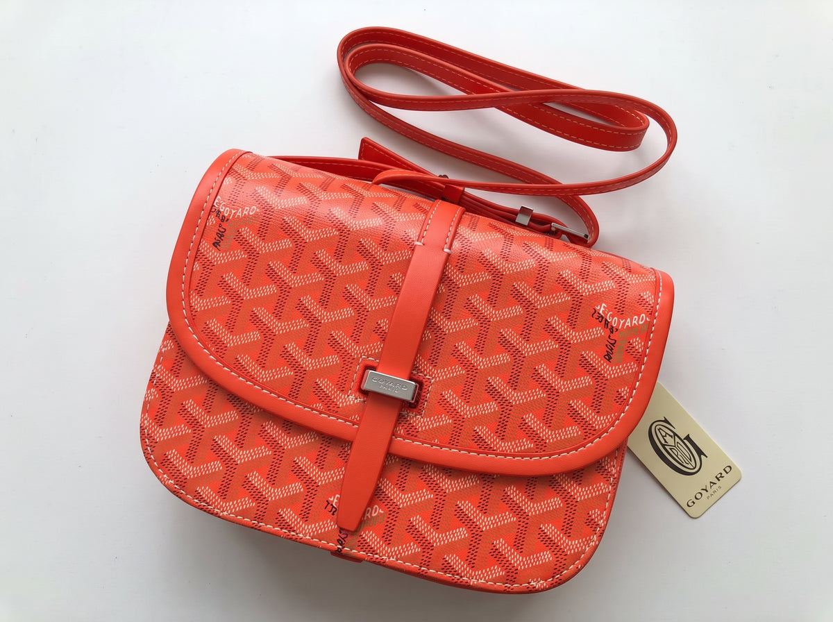 Goyard bag